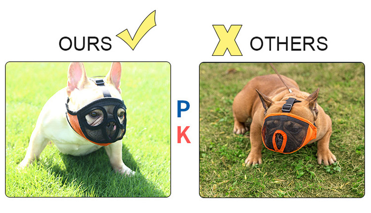 french bulldog muzzle