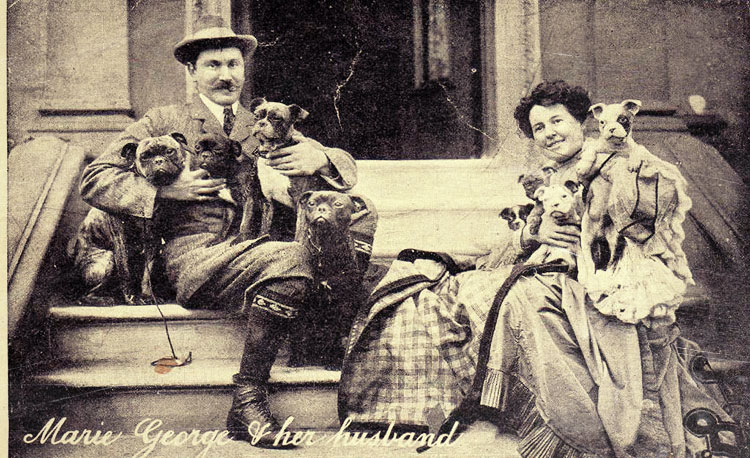 French Bulldog history 2