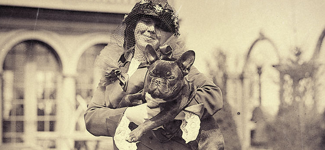 French Bulldog history