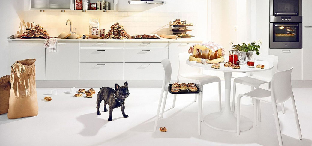 French Bulldog raw diet