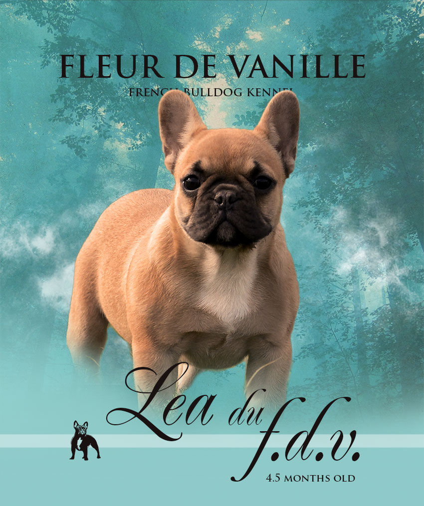 Lea du Fleur de Vanille 2