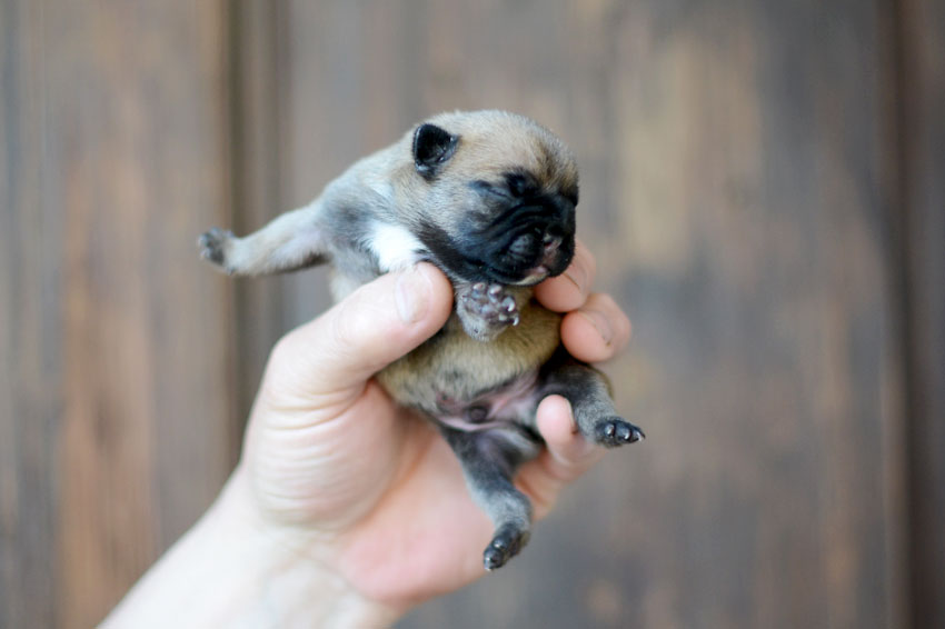 We have babies 3