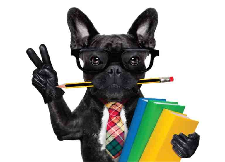french bulldogs smart pen