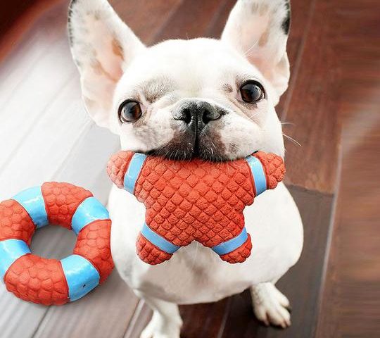french bulldog toys