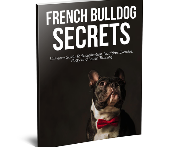 french bulldog secrets