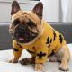 french bulldog sweaters