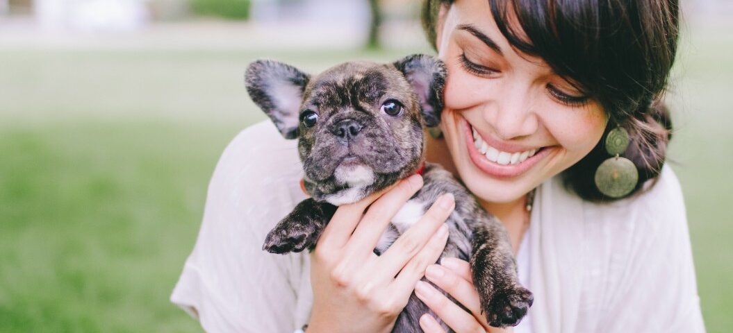 french bulldog t-shirts
