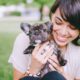 french bulldog t-shirts