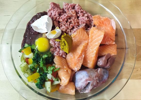 barf diet for french bulldogs