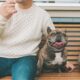 are french bulldogs jealous