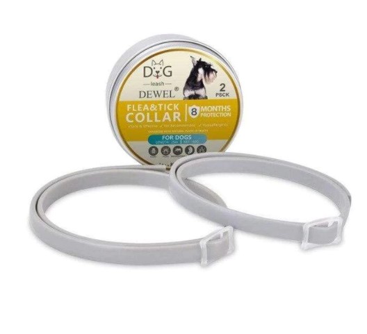 dermatitis in french bulldogs